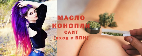хмурый Мегион