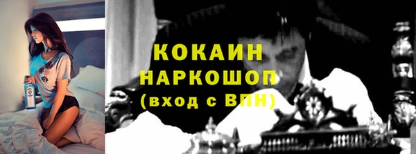 хмурый Мегион
