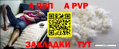 стафф Донской