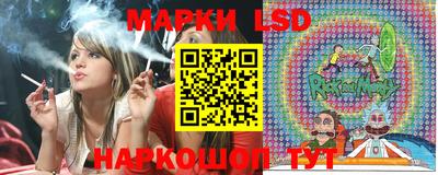 стафф Донской
