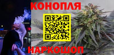 стафф Донской
