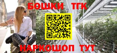 стафф Донской