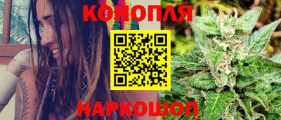 стафф Донской