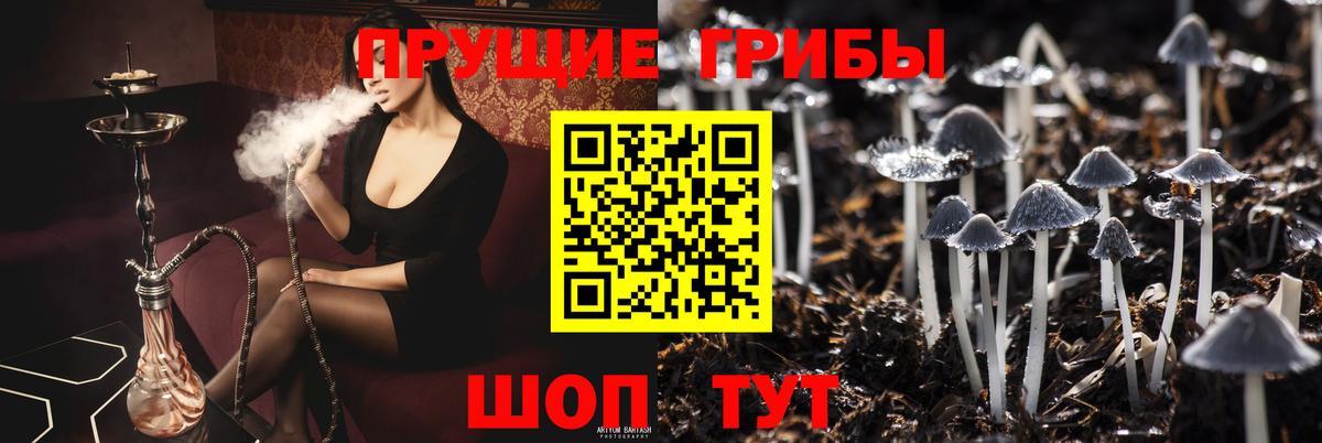 Миллерово  даркнет сайт  Вход с VPN  Галлюциногенные грибы ЛСД 